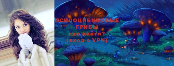 ешки Алзамай