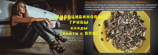 PSILOCYBIN Алексин