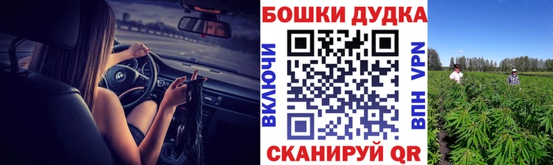 Бошки Шишки индика МЕГА tor Краснозаводск где купить наркоту